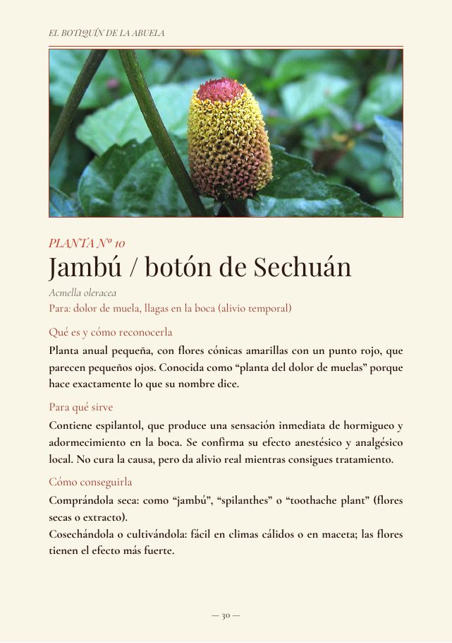 Ficha · Jambú