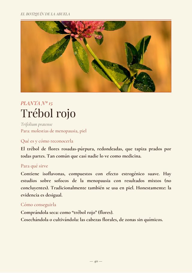 Ficha · Trébol rojo
