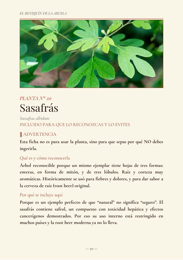 Advertencia · Sasafrás